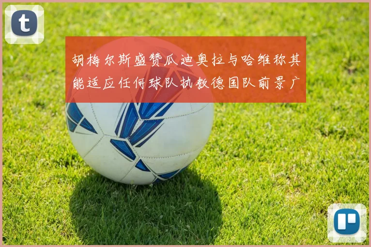 胡梅尔斯盛赞瓜迪奥拉与哈维称其能适应任何球队执教德国队前景广阔