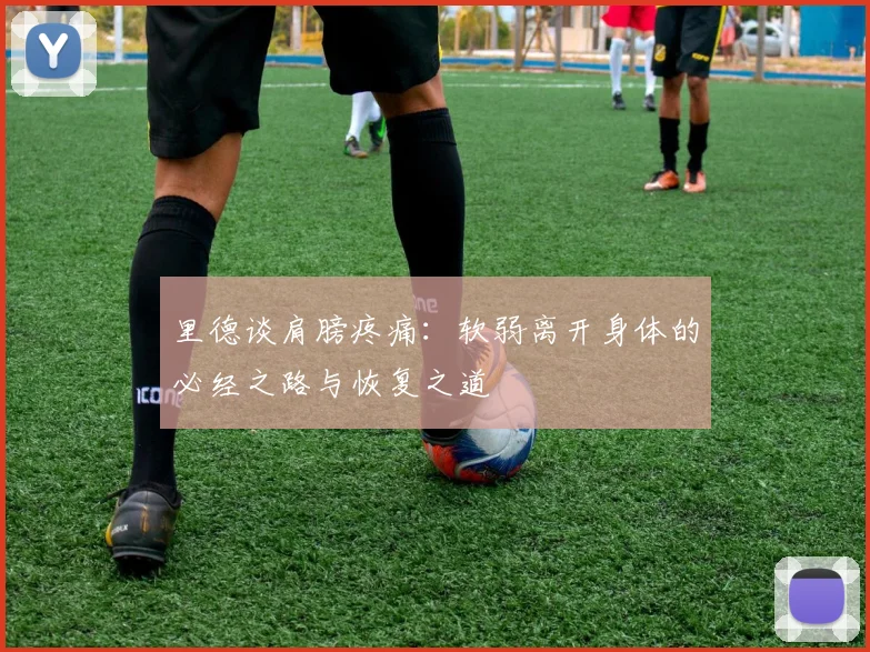 里德谈肩膀疼痛：软弱离开身体的必经之路与恢复之道