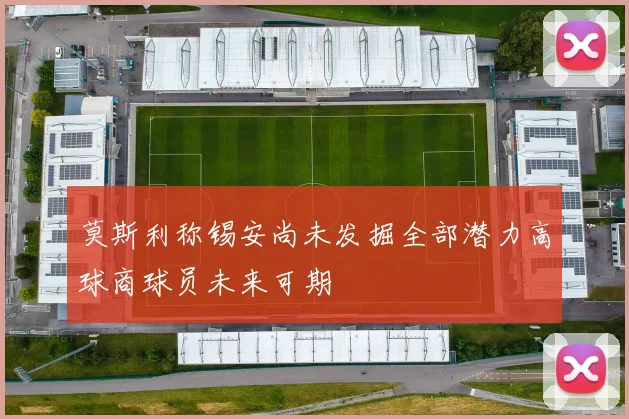 莫斯利称锡安尚未发掘全部潜力高球商球员未来可期